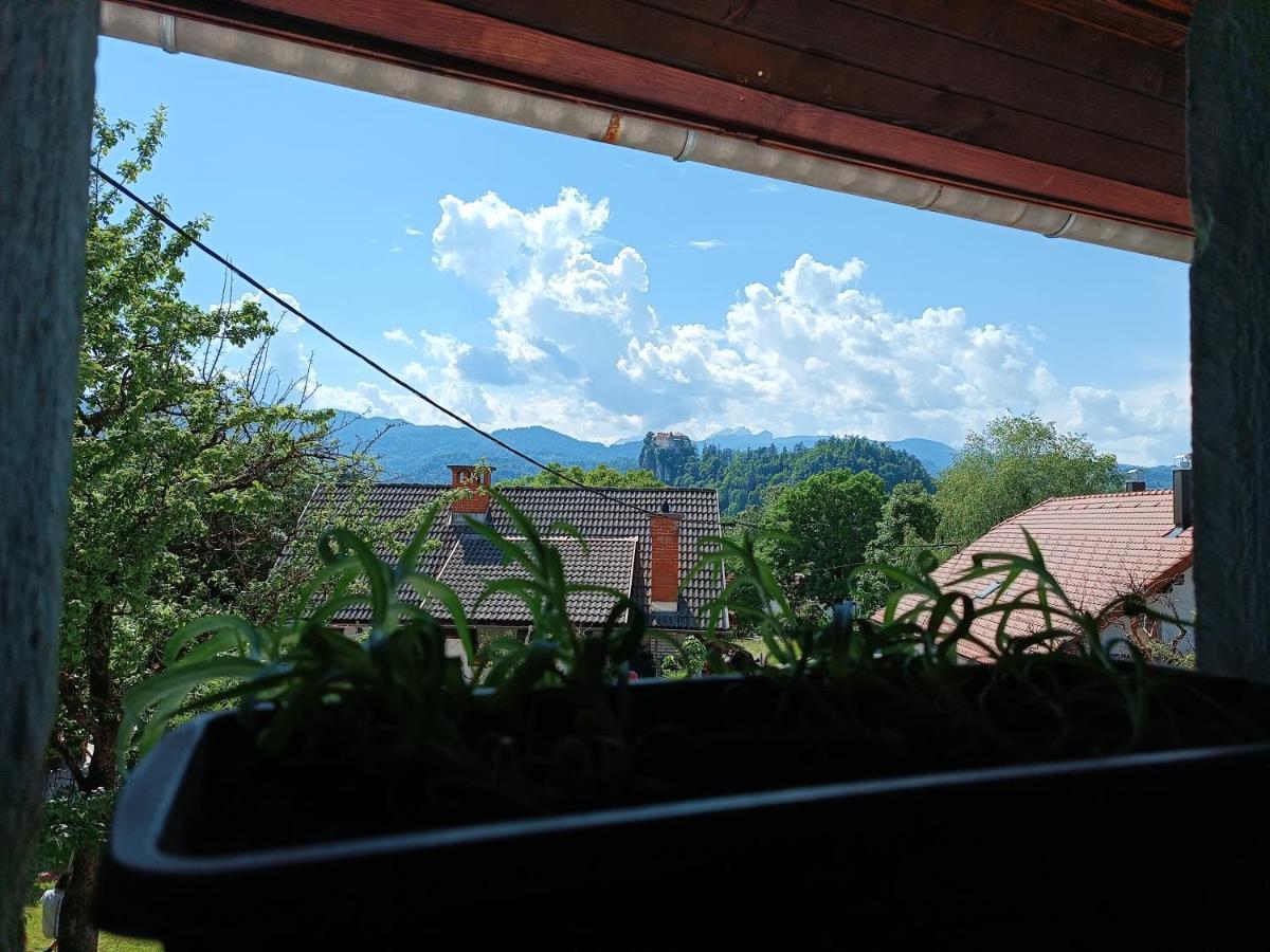 Pr Mocnk Hostel Μπλεντ Εξωτερικό φωτογραφία